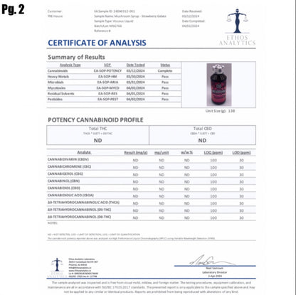 TRE’ House Extra Strength Magic Mushroom Syrup - THC Free -  Galaxy Grape & Strawberry Gelato  [C-TH-S]