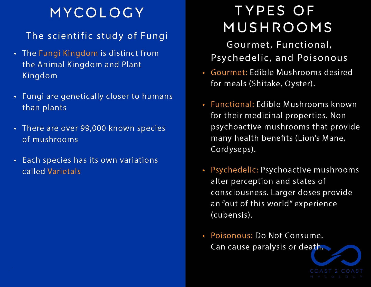 C2C Mycology Artisan Mushroom Liquid Cultures (Not Spores!) - Not Available in CA, GA or ID [MS]