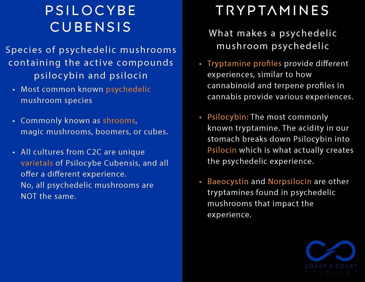 C2C Mycology Artisan Mushroom Liquid Cultures (Not Spores!) - Not Available in CA, GA or ID [MS]