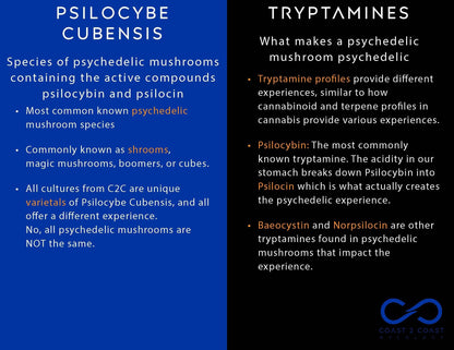 C2C Mycology Artisan Mushroom Liquid Cultures (Not Spores!) - Not Available in CA, GA or ID [MS]