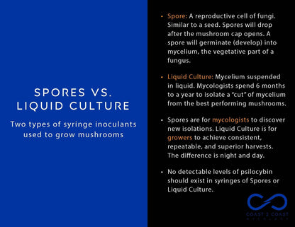 C2C Mycology Artisan Mushroom Liquid Cultures (Not Spores!) - Not Available in CA, GA or ID [MS]
