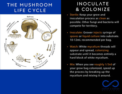 C2C Mycology Artisan Mushroom Liquid Cultures (Not Spores!) - Not Available in CA, GA or ID [MS]