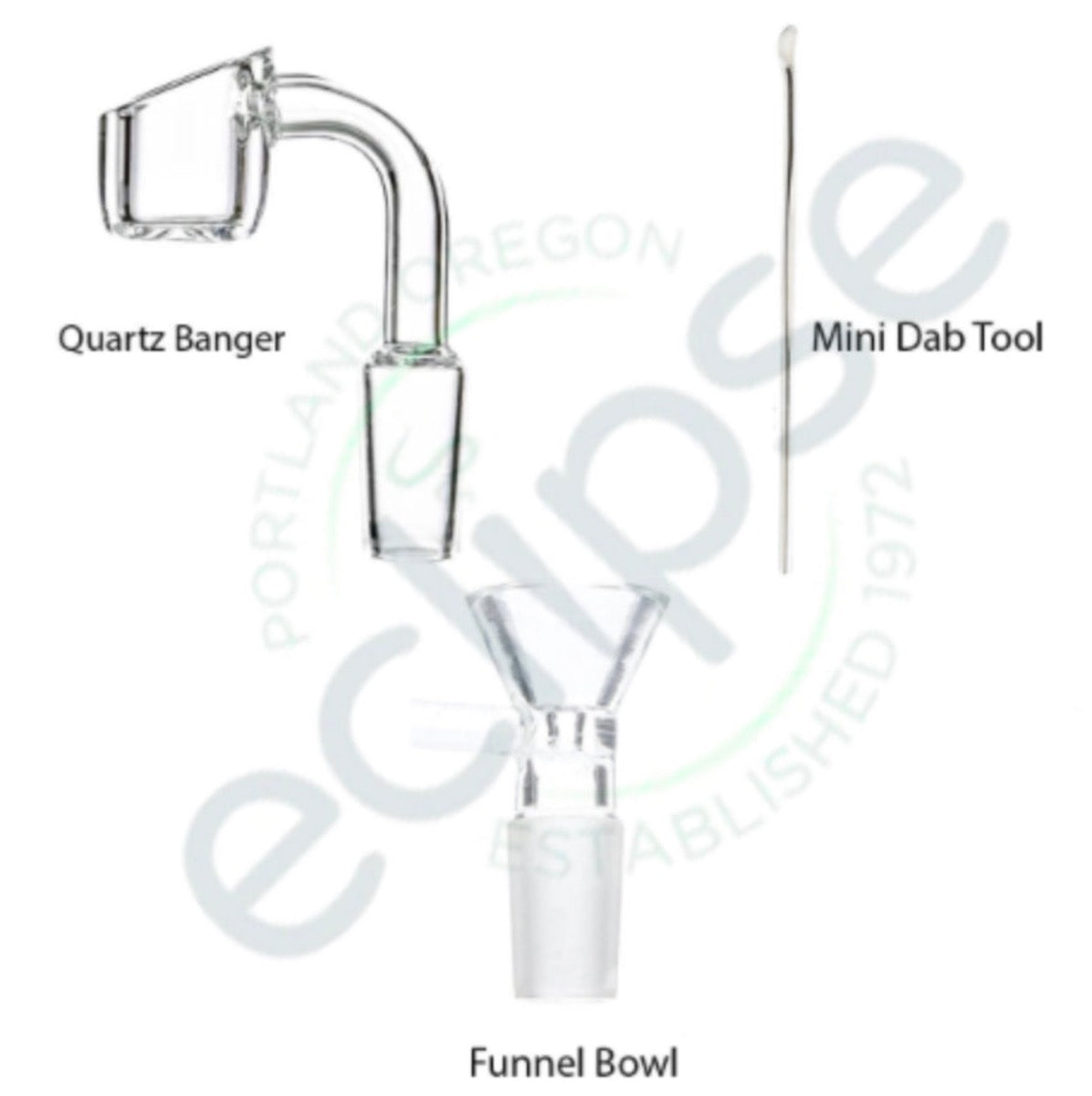 8" Banger Hanger Cactus w/ Flower Accent - Assorted Colors [WP-G-255]
