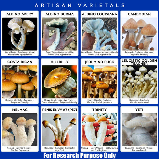 C2C Mycology Artisan Mushroom Liquid Cultures (Not Spores!) - Not Available in CA, GA or ID [MS]